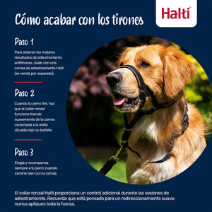 V4HBA278A0F9E4F499DE1EFF139C74B3766R7523894P7