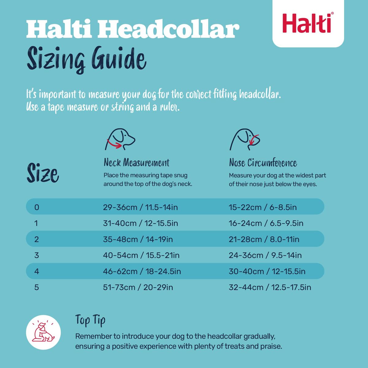 V4HDA350ACC8B20AE87C056F5E4879796CFR7523865P5