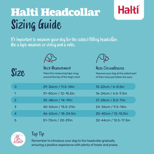 V4HDA350ACC8B20AE87C056F5E4879796CFR7523865P5