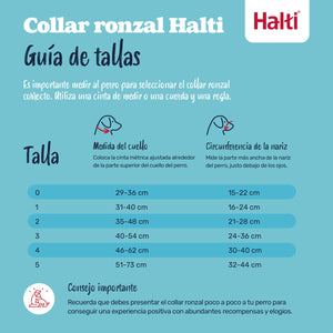 V4H39E01B3AD3F280D84CB6A105021A01E4R7523869P7