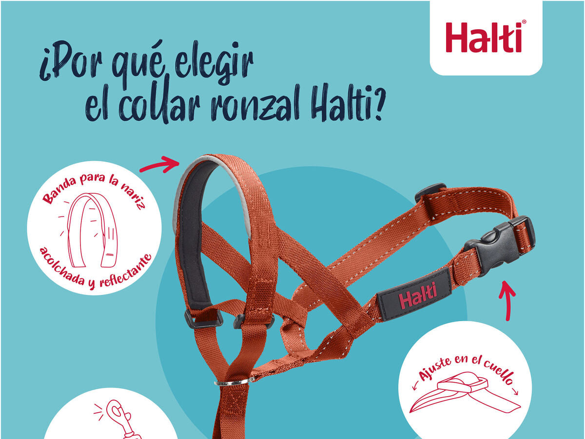 V4HAAE36800F363C0419B81FB049781870BR7523551P8