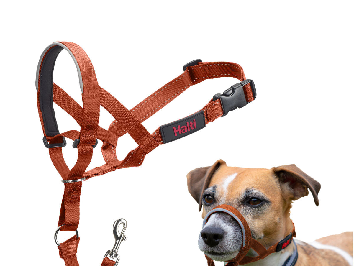 V4H02697BC5C40B48859E76BF6E2235A892R7523552P9