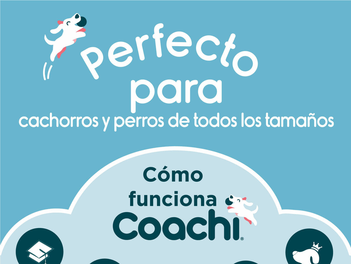 V7H6F01FDC6FF3F7DCA787DBD9ABAE10DA9R3708974P3