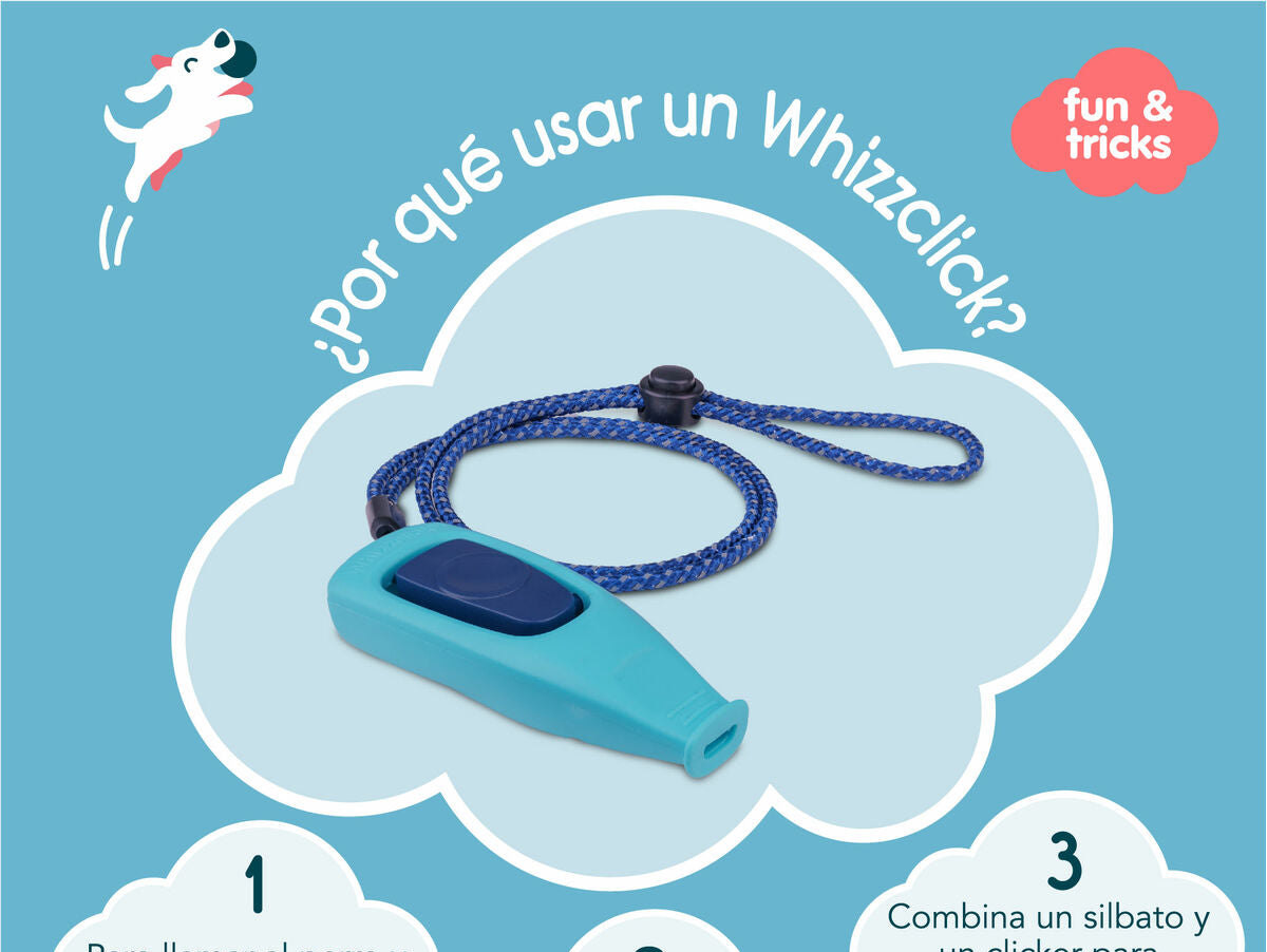 V8HEB667DFF9BA1EA480A92C5F7F3A3732BR3708973P5