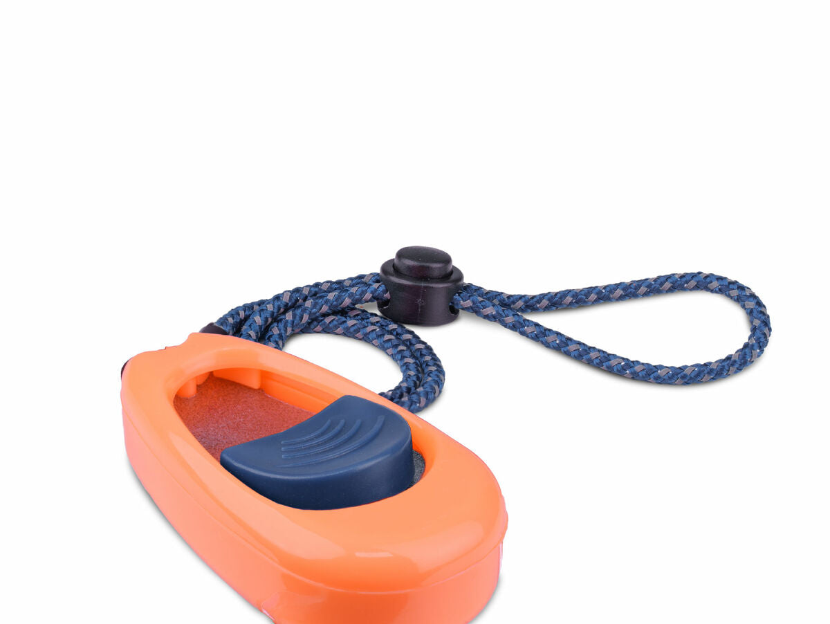 V8H4A96DAB8ADD0D18969604B515ED08196R3708972P1