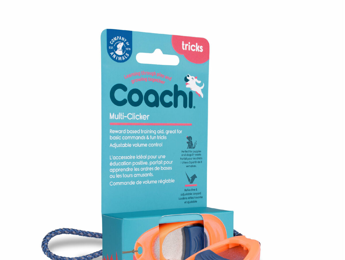 V8HF8046C97D1AE3DDB2679669EA32CC0AFR3708986P8