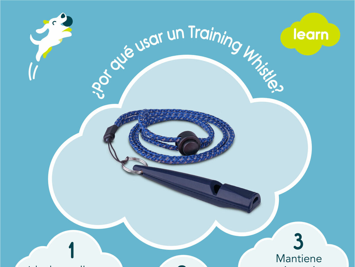 V8H27E9725FED1376BF3A4640A5969D1C16R3709026P3