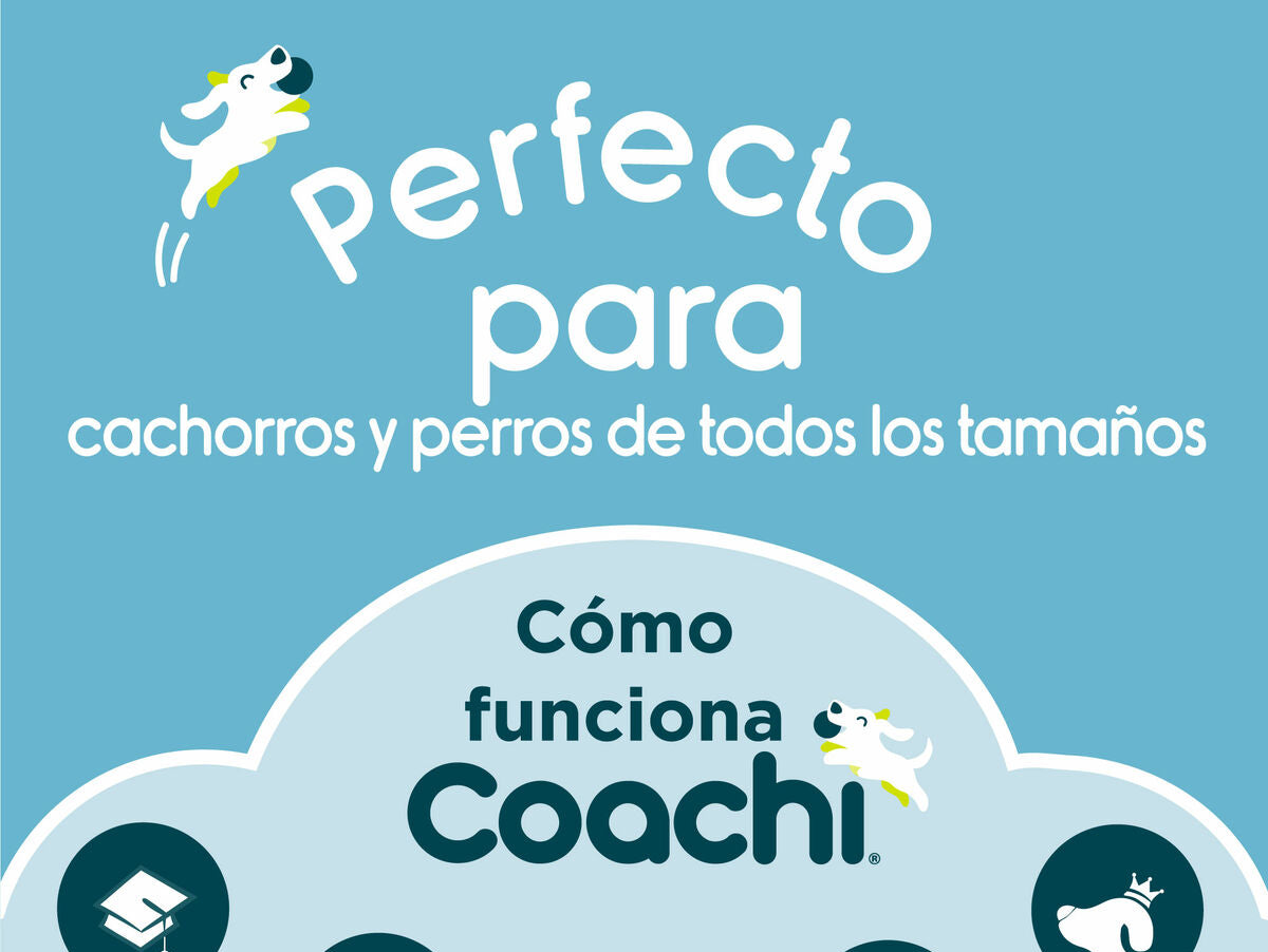 V7H24910BEA3F152F64CFB691455CC4B6F1R3709065P6