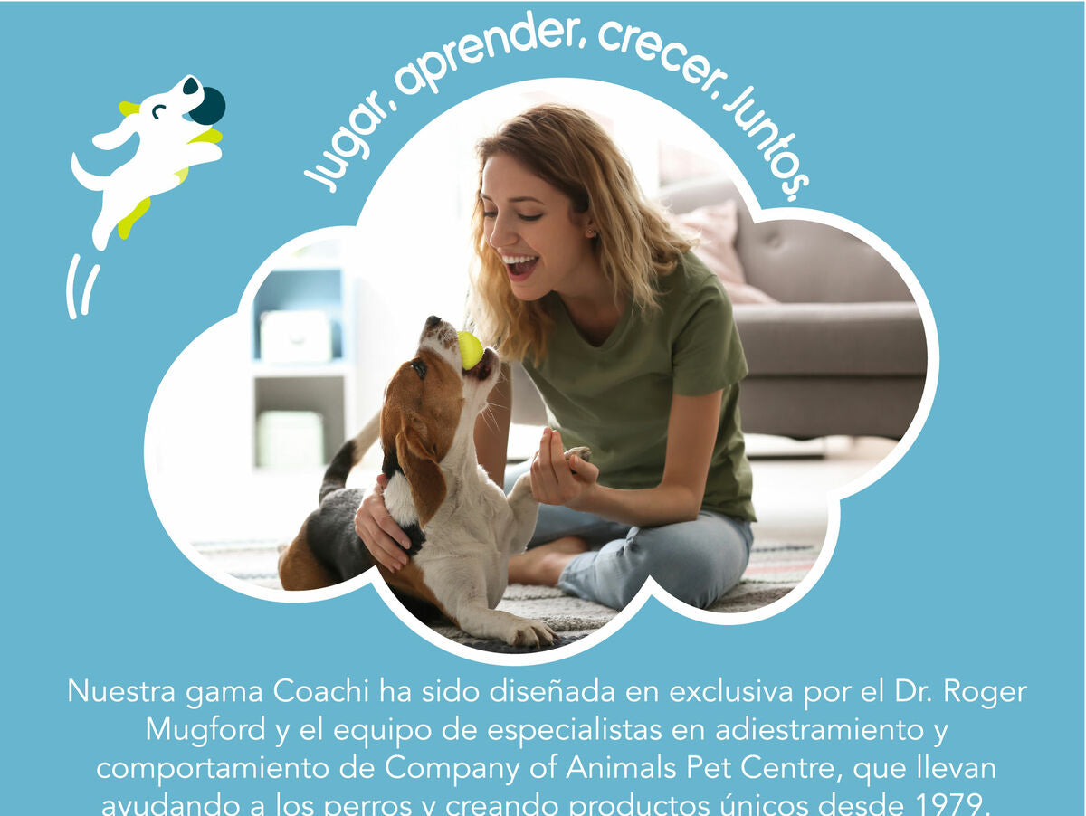 V7H55A2CA2A3A1FF8CC28FECD5951EBF648R3709006P6