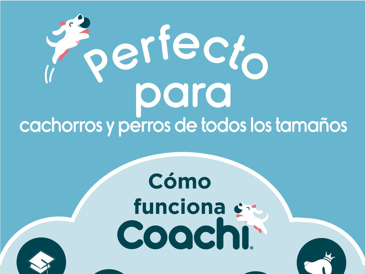 V8H802543AD9B607BEB7FA9C7F978AC7790R3709177P5