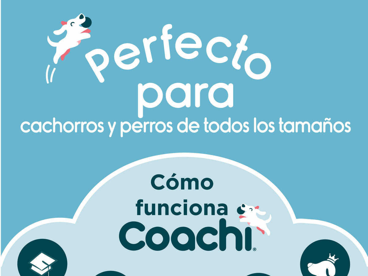 V8HBC940315108E8976BD23030140C1DC74R3709188P2