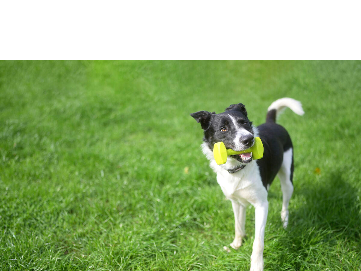 V7HC90D51E55ECFC414E58C0F66AB1691A3R3709268P6