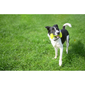 V7HC90D51E55ECFC414E58C0F66AB1691A3R3709268P6