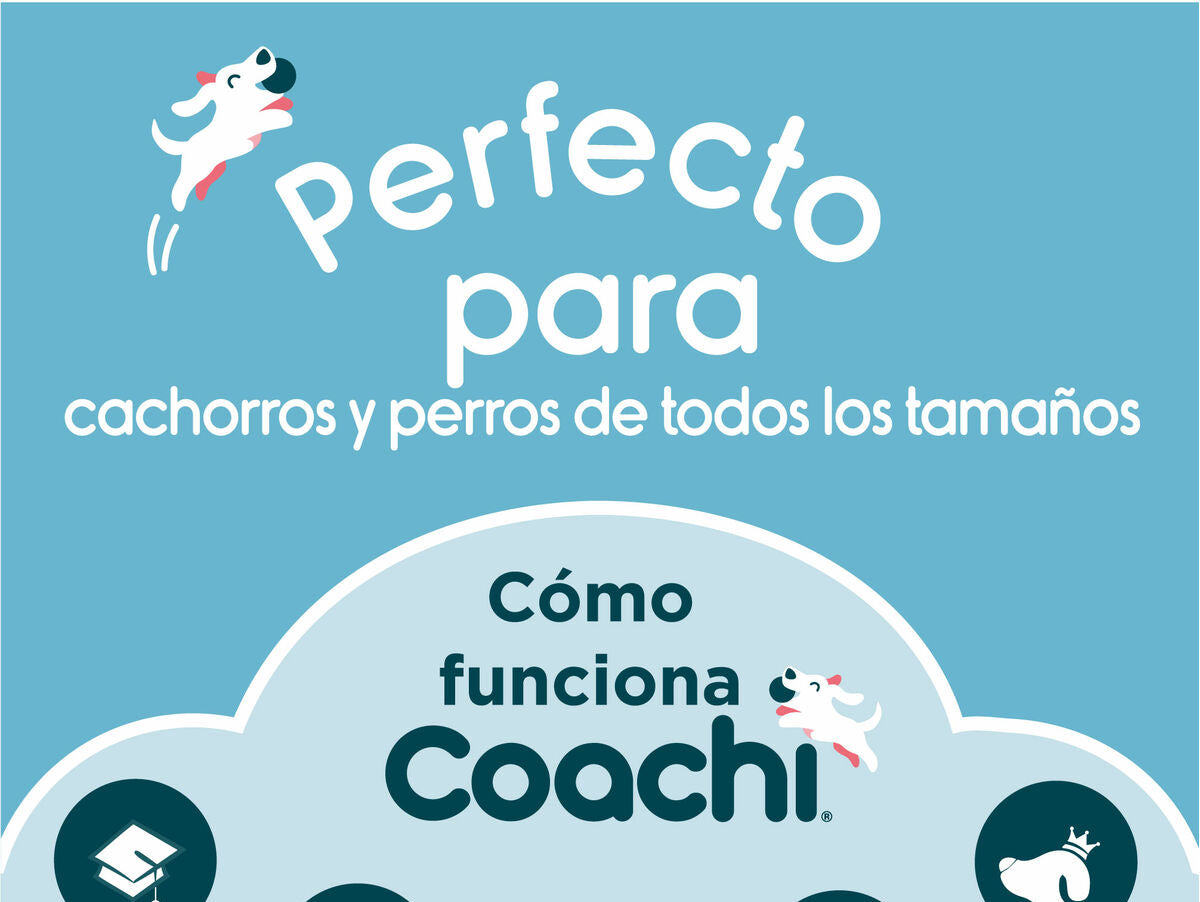 V7H32B2CCDED8F53E606C2ED6F28BD108C9R3709127P6