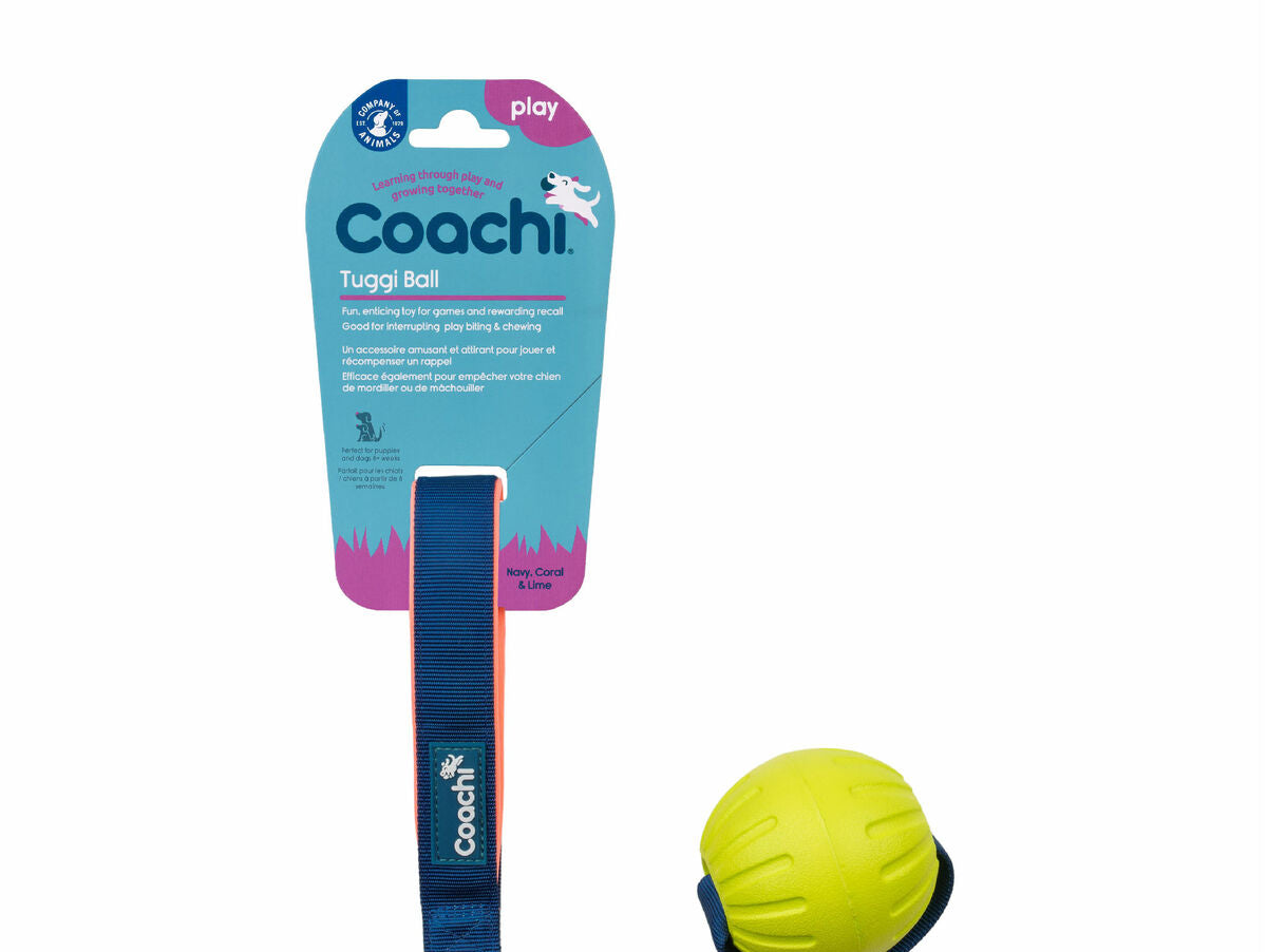 V8H938DCBA5ADDCB3895E81690277B2086CR3709291P3