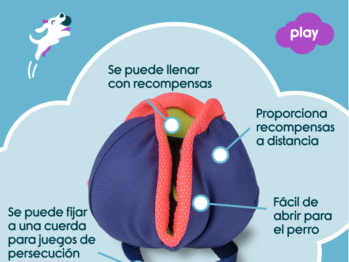 V8H9C328241726BE52E7307CAE4C6B705A4R3709301P4