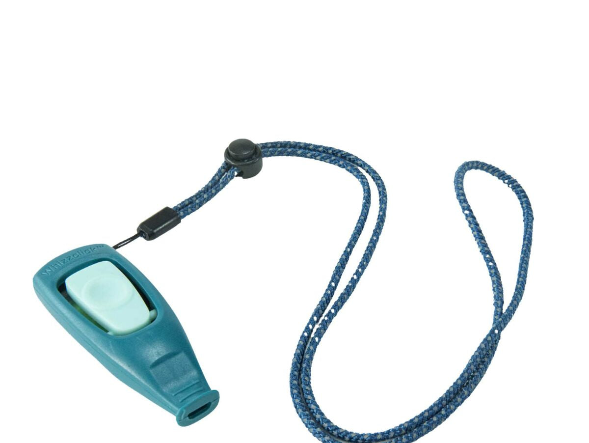 V5H4A16C396C2B41717E650823DE4FDC846R5717570P1