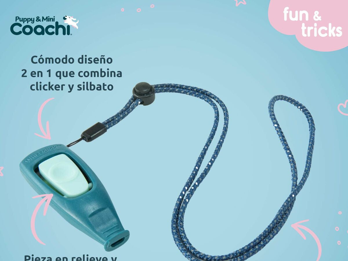 V5H56A4E62E8DBB0E9176AC06B2D93E973FR5717572P2