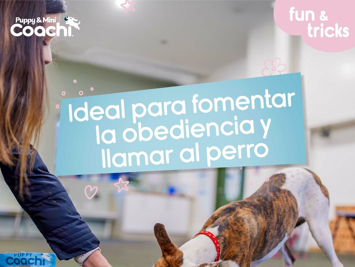 V5HAD34B9A06AC11B971BFA5C1A3DA7DE5DR5717574P3