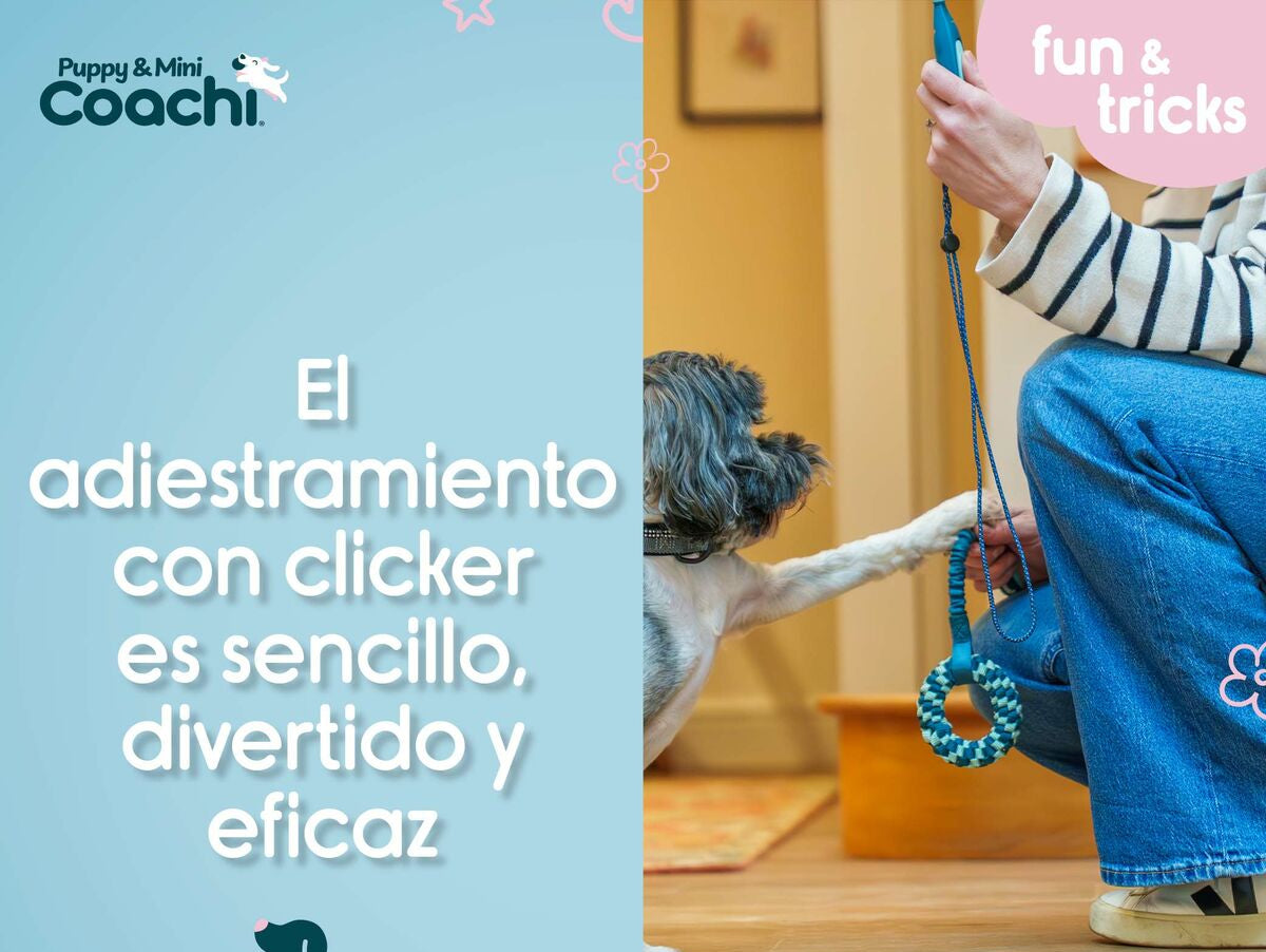 V5H68D1F4BA325CE9DD0FDBAECEC1935D1ER5717576P4