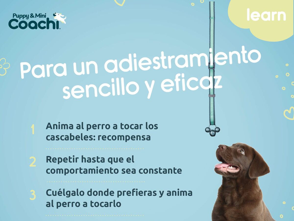 V5H2AB1CAD4E69CB6C8ECC34467A9EC532FR5717569P5