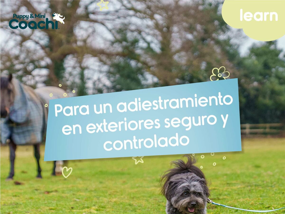 V5H8CD513E4CAE7D3BBF0BDEA9D8CA4D2F8R5717606P3