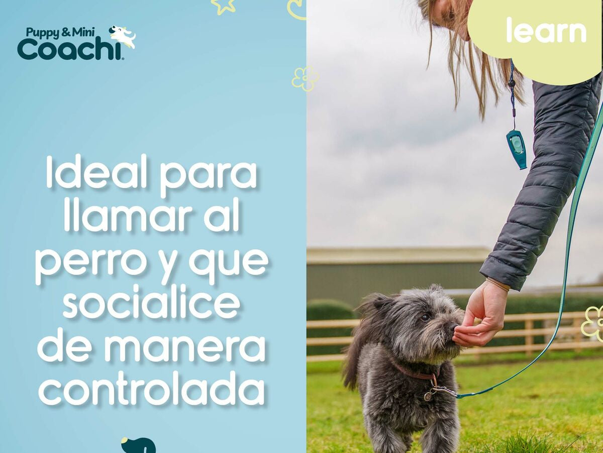 V5H9E595D22277618CFC642492DFD5E64EDR5717607P4