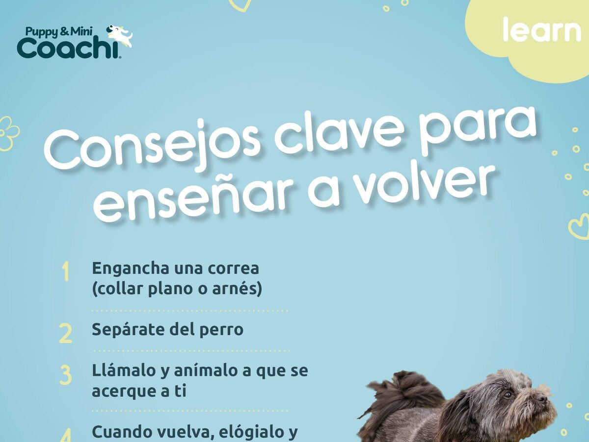 V5H923D757ED6E4725AF4377FF3ED23E690R5717609P5