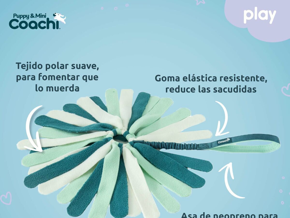 V5H911A6215F08190631DA90D0C2A92D178R5717595P1