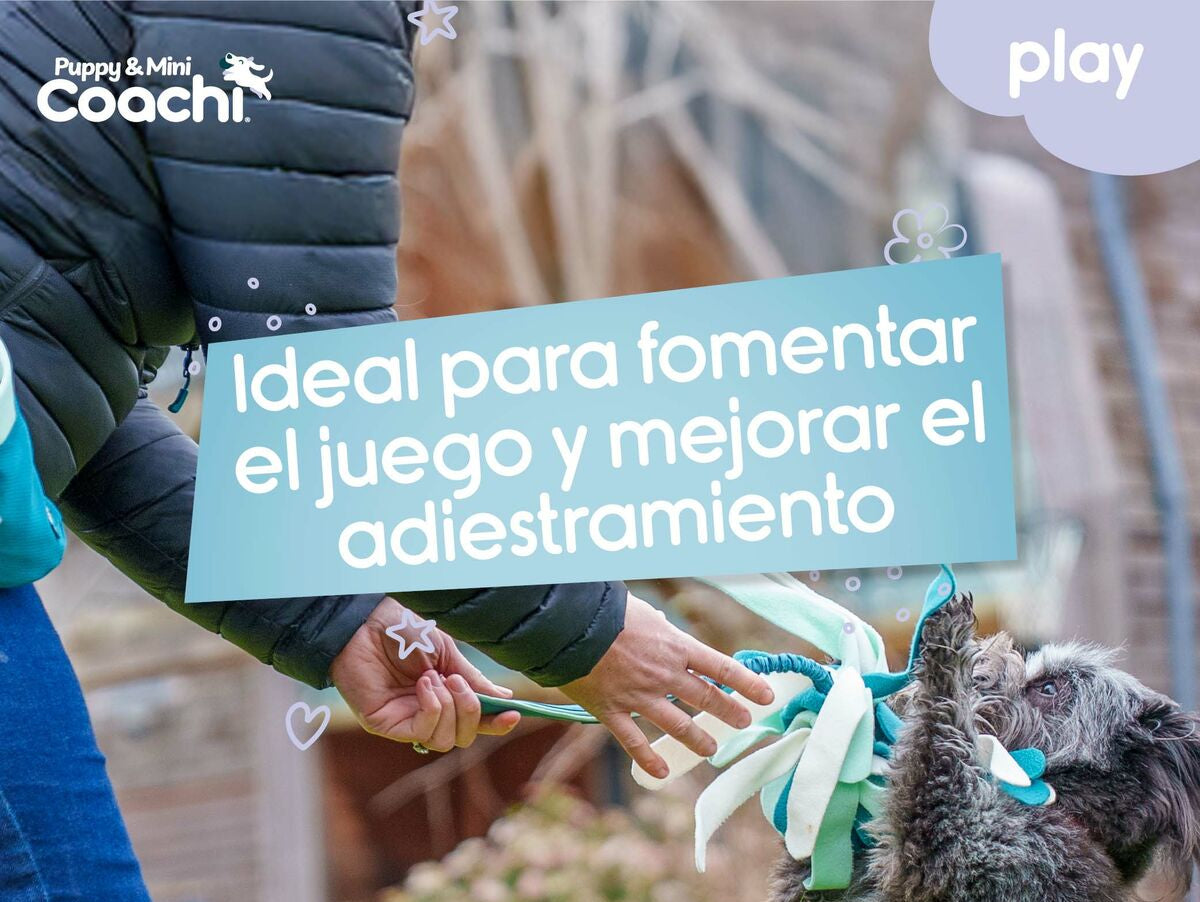 V5H3CA0DAA2A153C4A4BD0A17CB2EB29C10R5717601P3