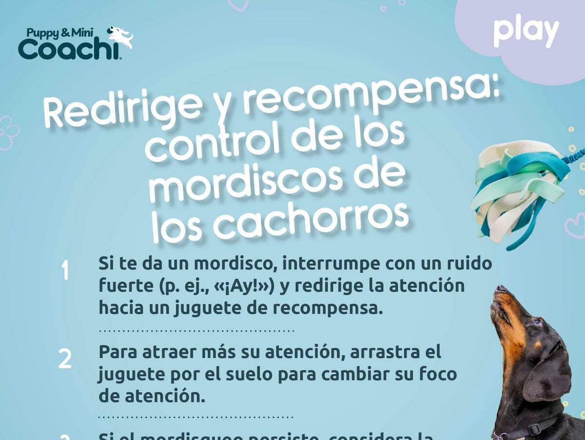 V5HF1B3B448509454298EA1354BF9819858R5717604P5