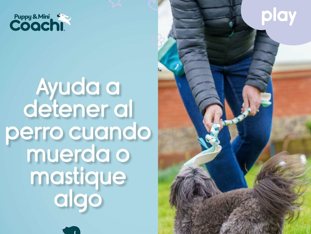 V5H57E84824AE5266CF8C3A3F30BB8ADA01R5717633P1