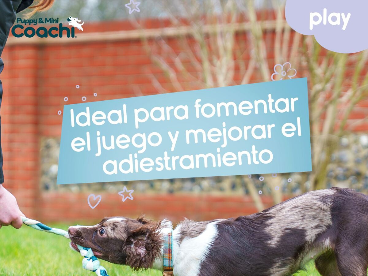 V5H76B7C2FEA925DD5BAC90A20423EC7B1DR5717638P3