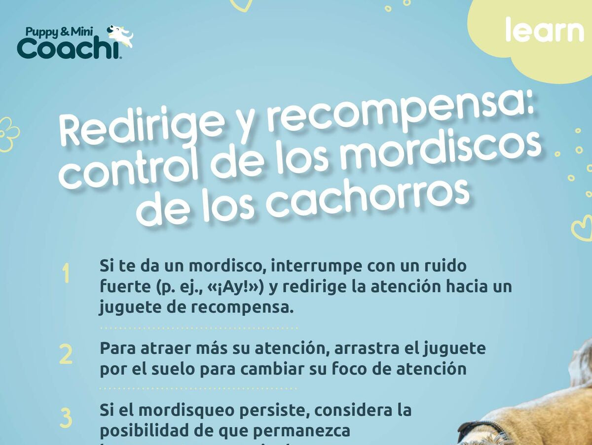 V5H385D14EC1F26BED0FAD0059E55ABC2CER5717661P4