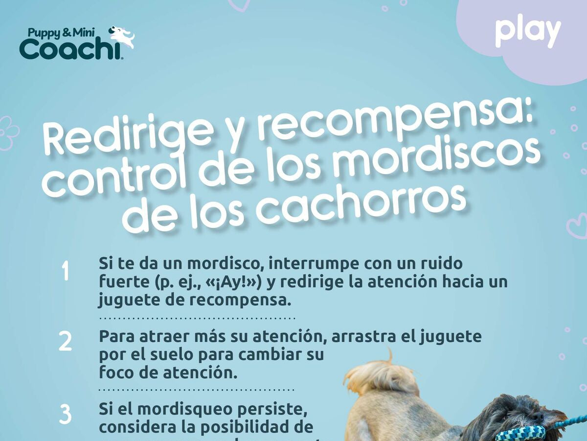 V5H37D1B6DC5AA049F6A5E51C1D4197A855R5717665P5