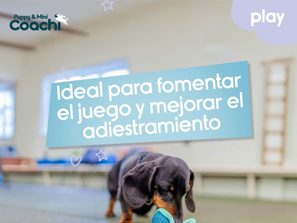 V5HDDDEDAD77D66E7DFBD3714CC45FED55CR5717682P4