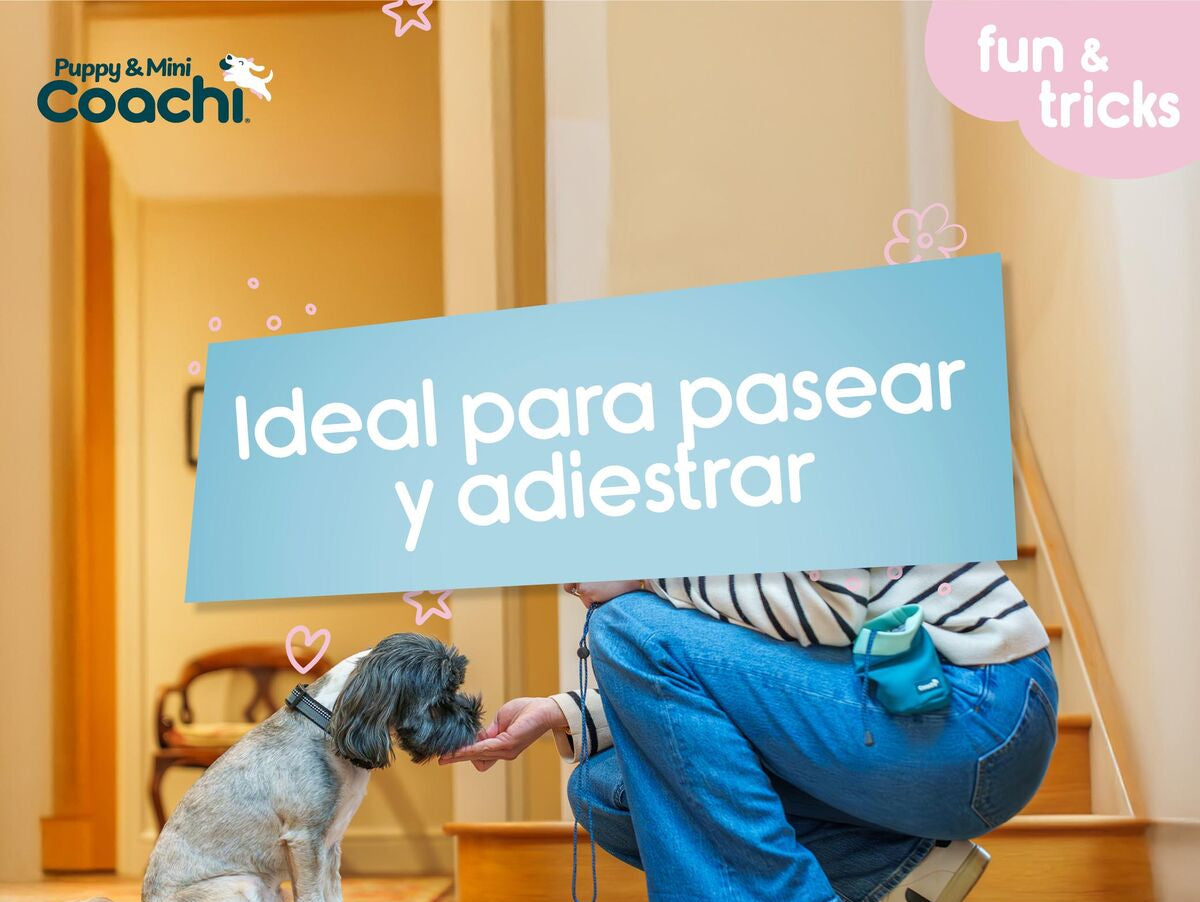 V5H98E0E50BA1D42B85A3CF2AB7AFA4F5FER5717619P3