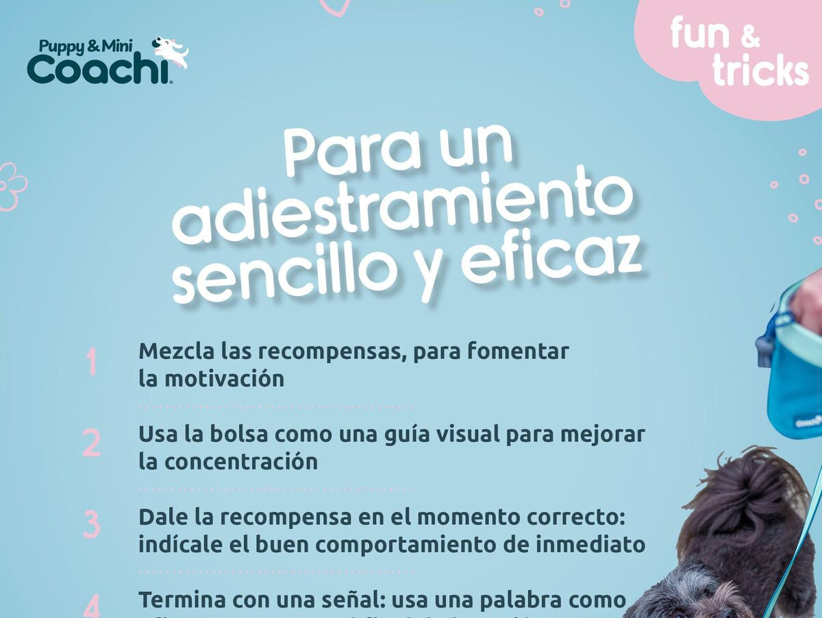 V5H64E30E92DE6E6FB1B9ACA6154126306DR5717623P5