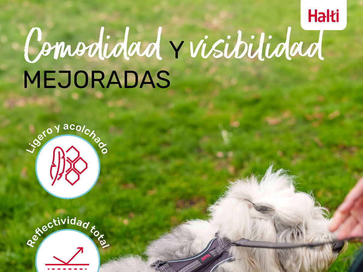 V6HDFB14628C3737574227AF7B47142E2F3R5328536P5