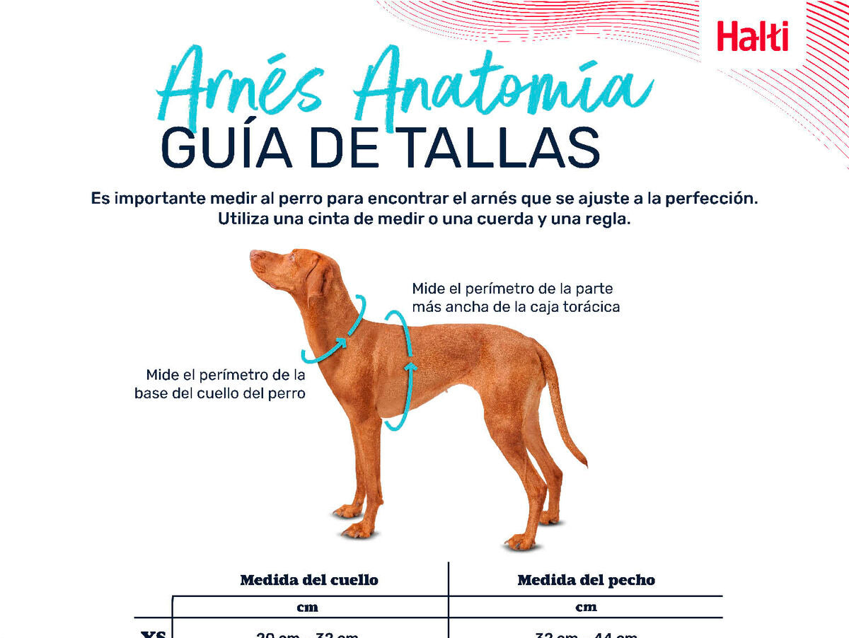 V6HE4E7823433778ABC00A723BEBD4E4949R5328472P4