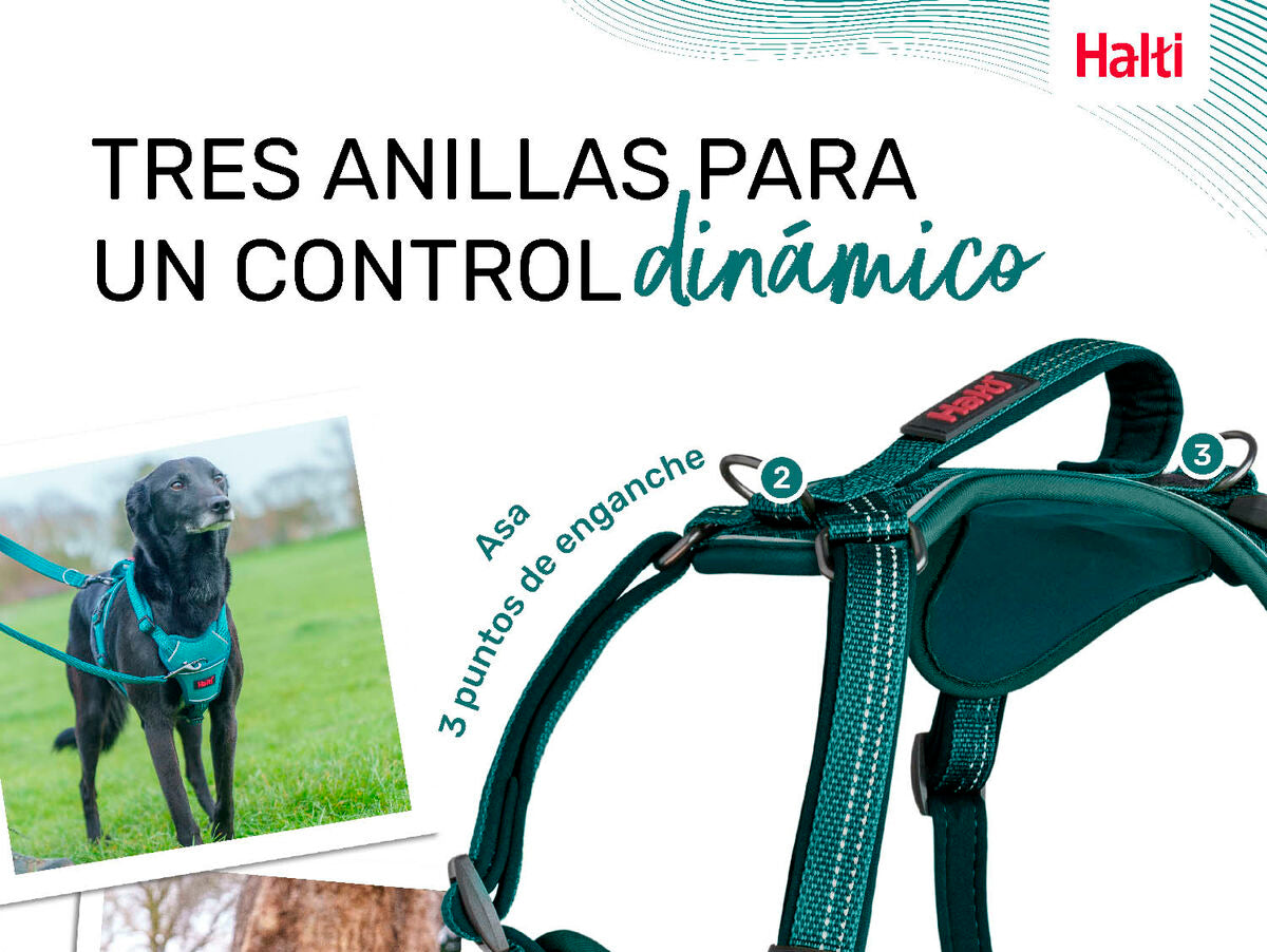 V6HD92681BEB51A15C1082CDC7D81A18DA6R5328489P2