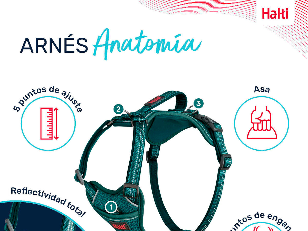 V6H3CFB8E4E95CB2461119A18CD708FE7A7R5328493P3