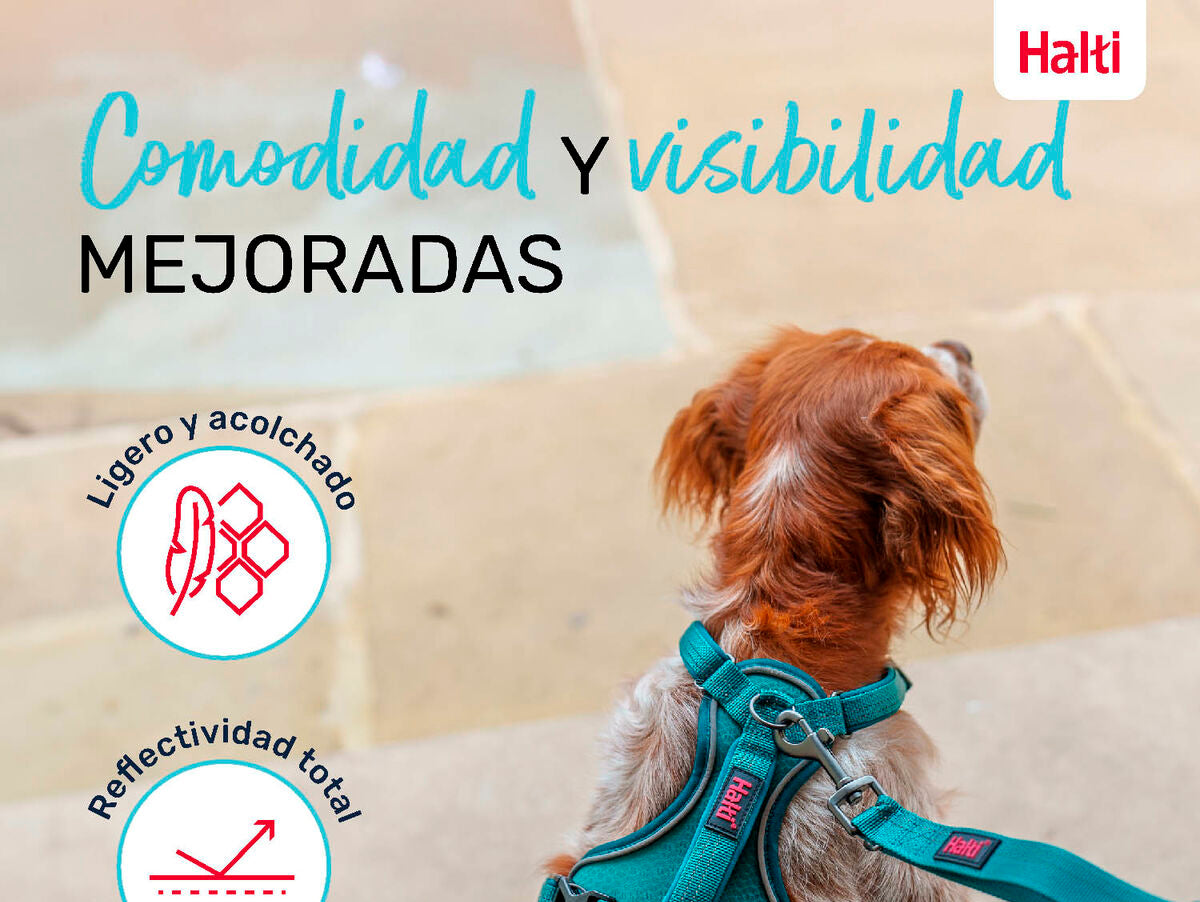 V6H42CADC1DD898B79666DE0AD3F904887ER5328499P5