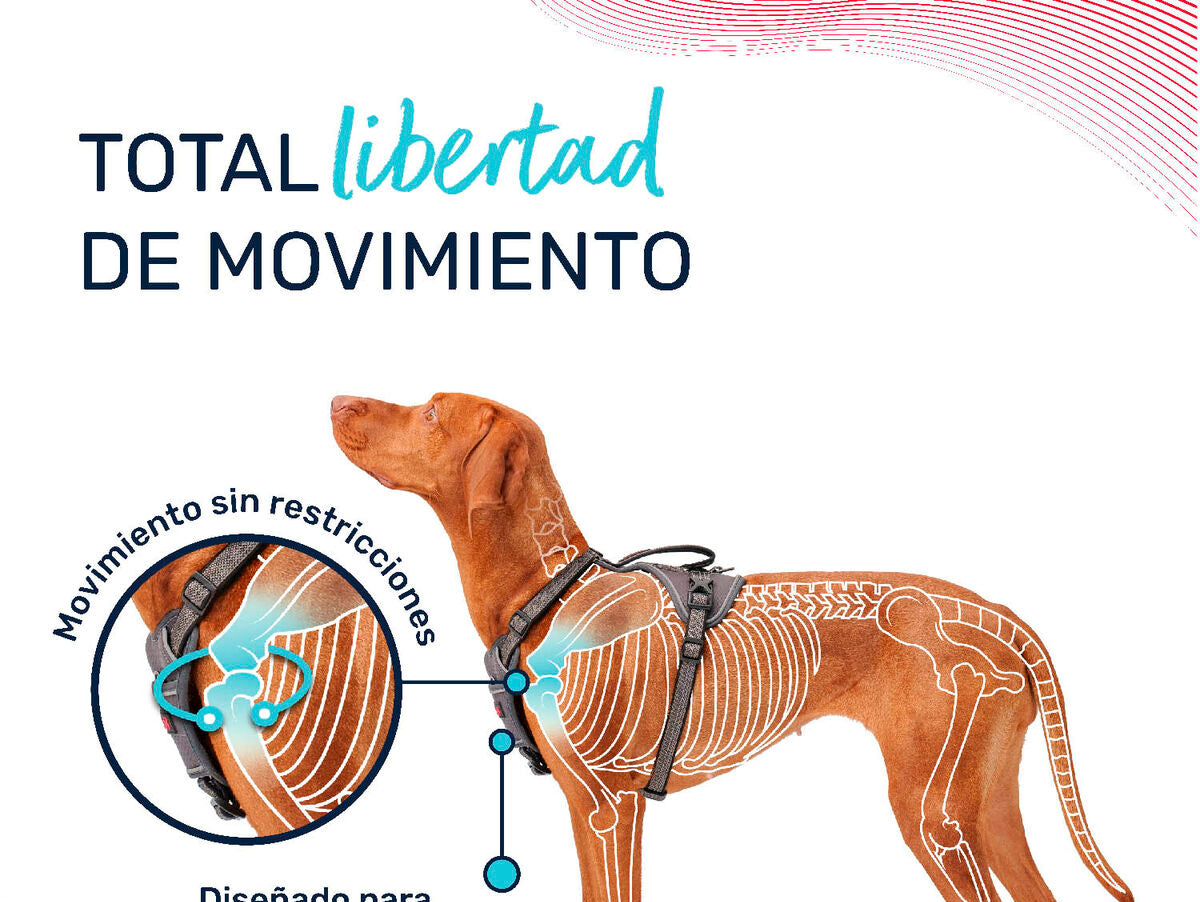 V6HFF59CBC7CEED737499DAE83210C25B93R5328501P6