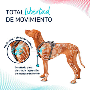 V6HFF59CBC7CEED737499DAE83210C25B93R5328501P6