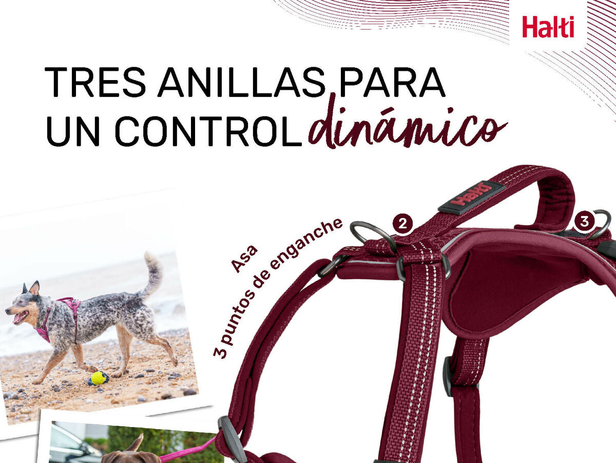 V6HD187A47F99A4A64425466D9373028E97R5328618P3