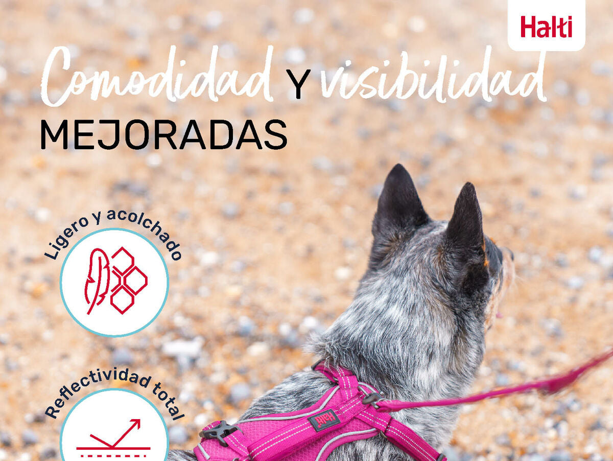 V6HACD642E12908ED370006D9F6C68C0A00R5328620P4