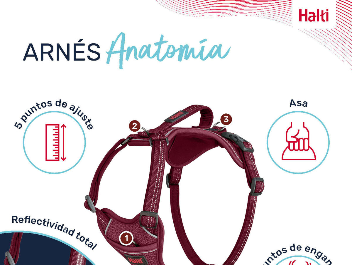 V6H6D44E3133B3B30742E8C11681CFACAB5R5328604P5