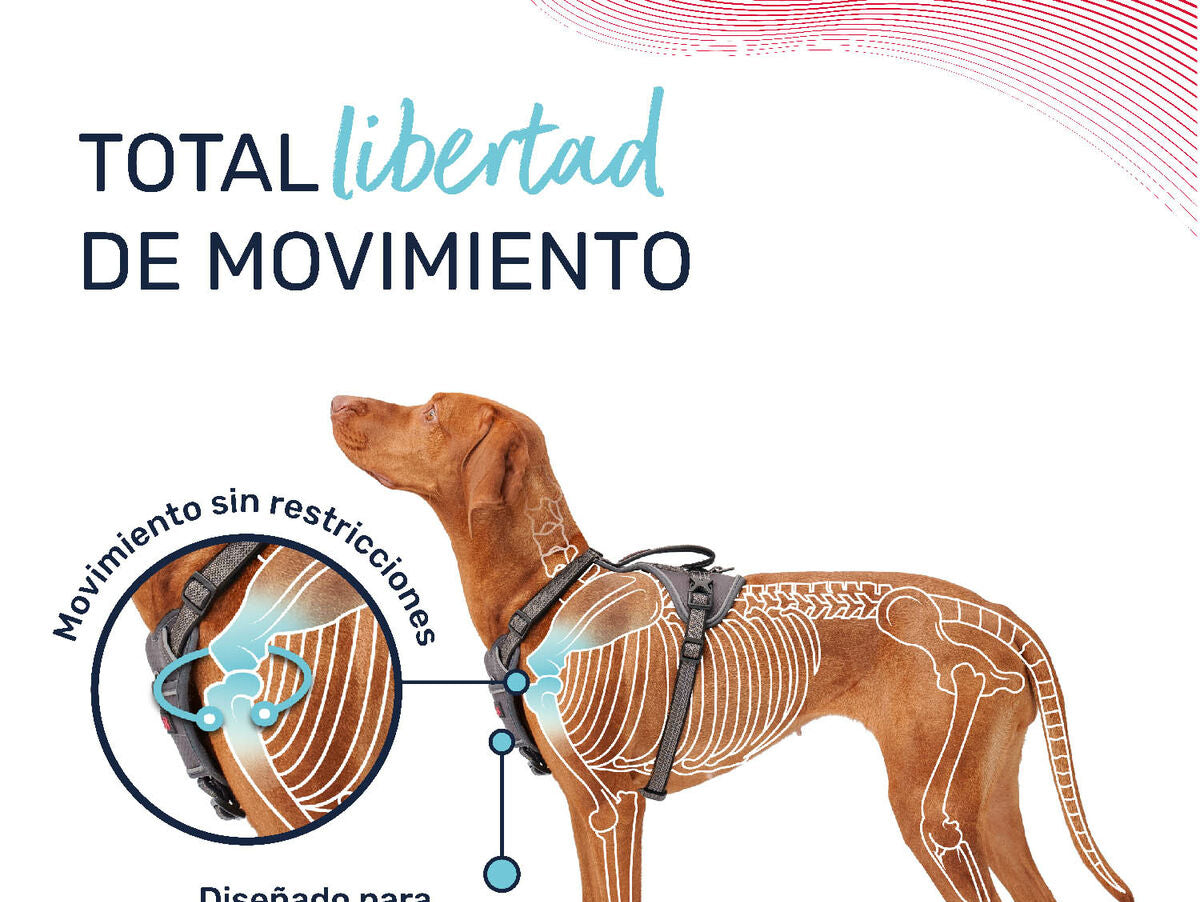 V6H5B79FC6C3258FA18646CBA0643DA6E4FR5328562P4