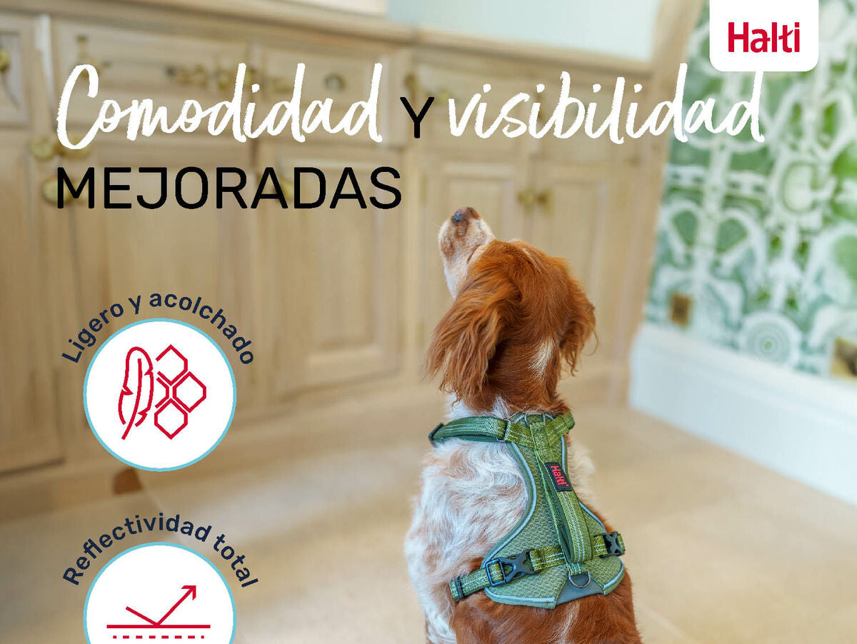 V6HEAB0B152C3FE03EB0059A8A3C2B58E35R5328566P5